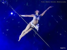 Családi hétvége a Fővárosi Nagycirkuszban